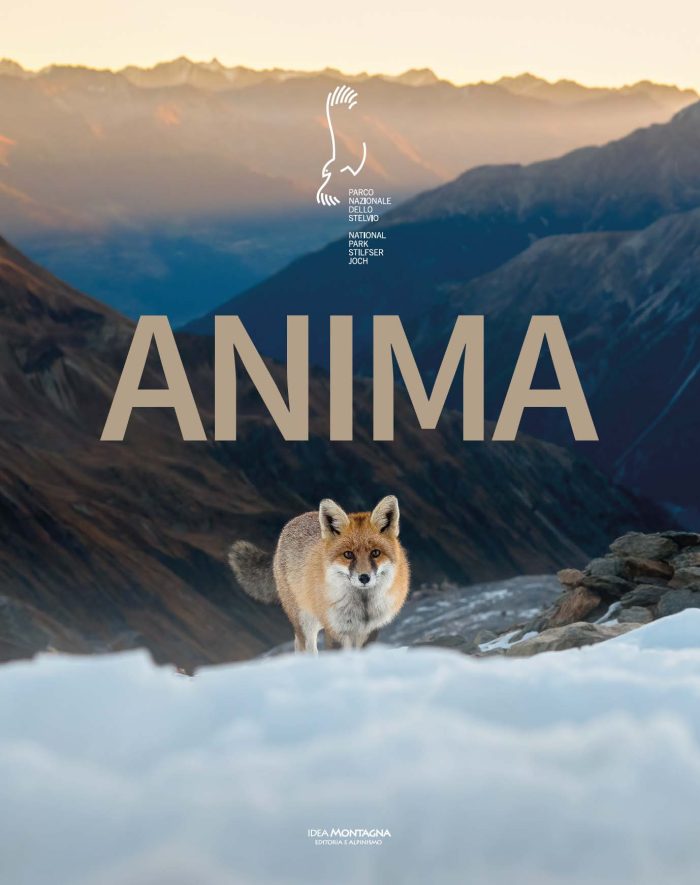 Anima
