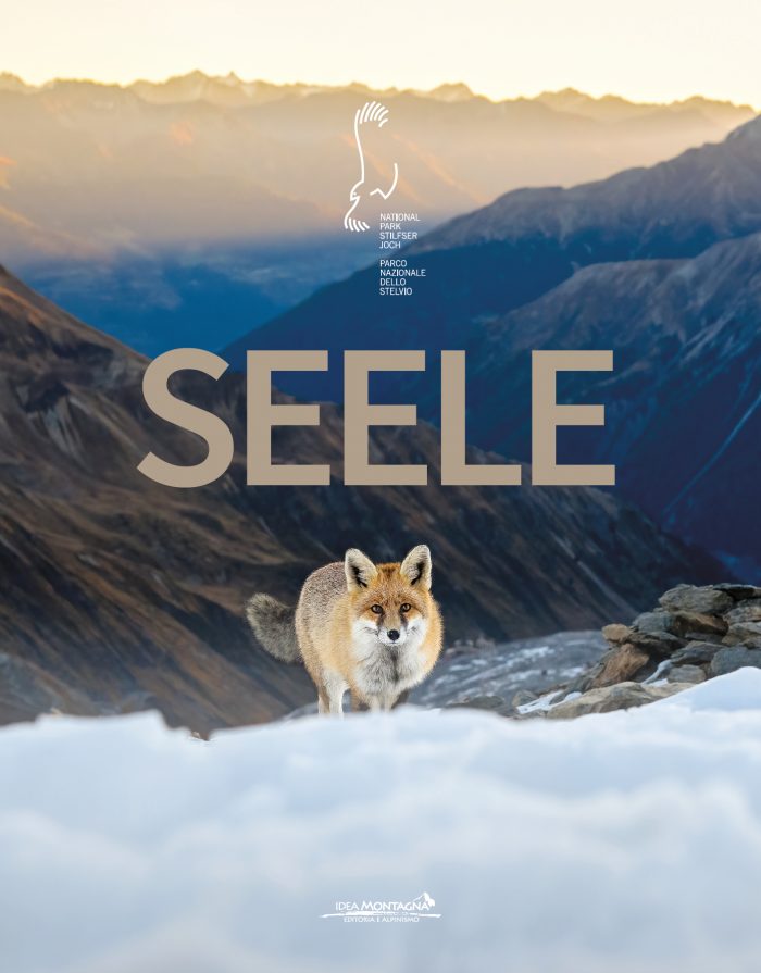Seele / Soul